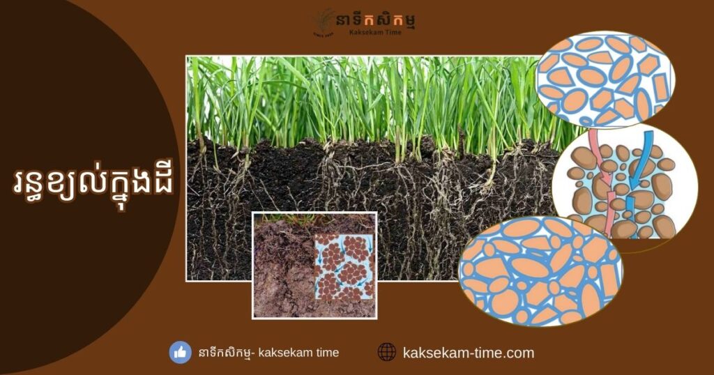 រន្ធខ្យល់ក្នុងដី